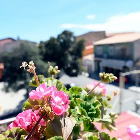 Della Piazza Telti