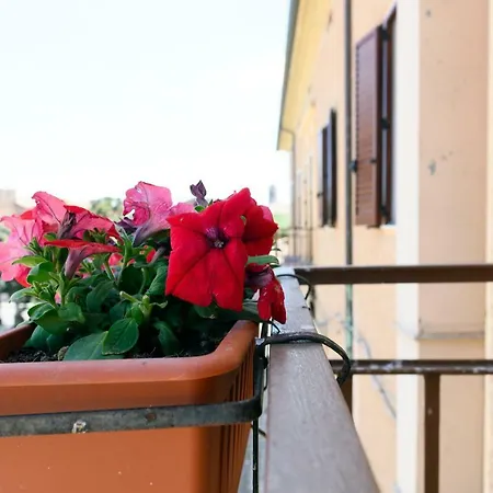 Della Piazza *